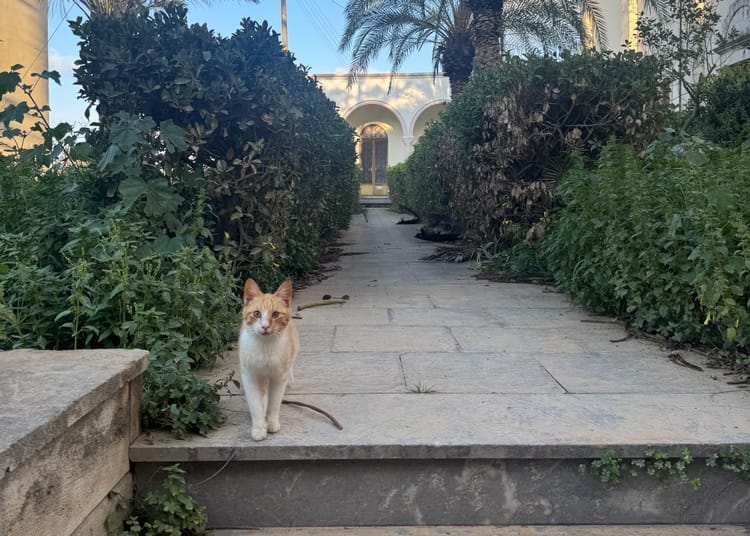 My Second Week: Sun, Pool and New Experiences