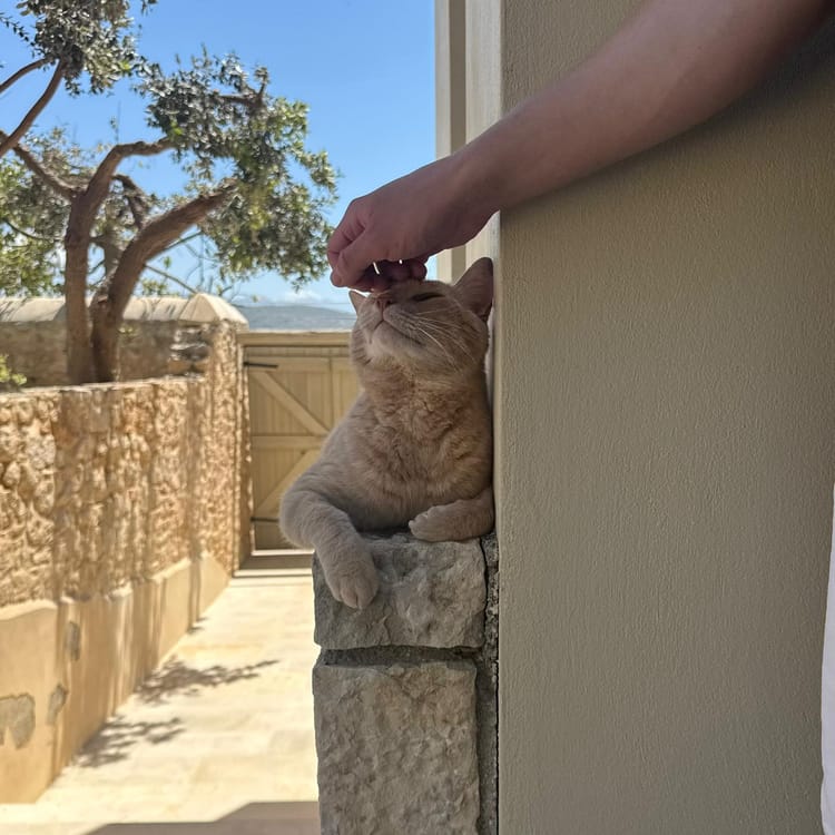 My Fourth Week in Crete: Unexpected Events and Quiet Moments