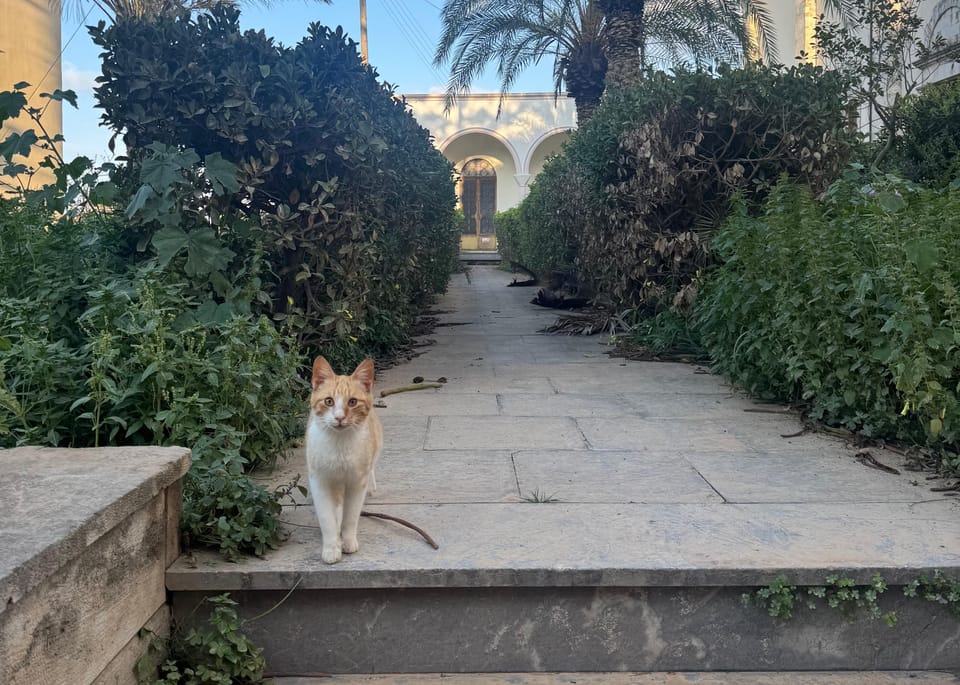 My Second Week: Sun, Pool and New Experiences