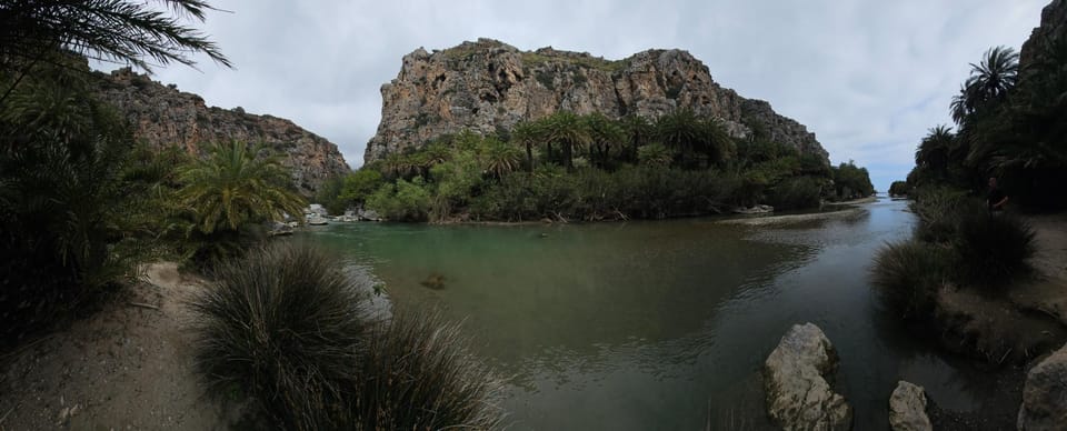 A panoramic view of the Palm Forest